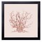 12" x 12" Pink Coral II Framed Wall Art, Contemporary Nature Home Décor, Glass Facing and Hanging Hardware Included